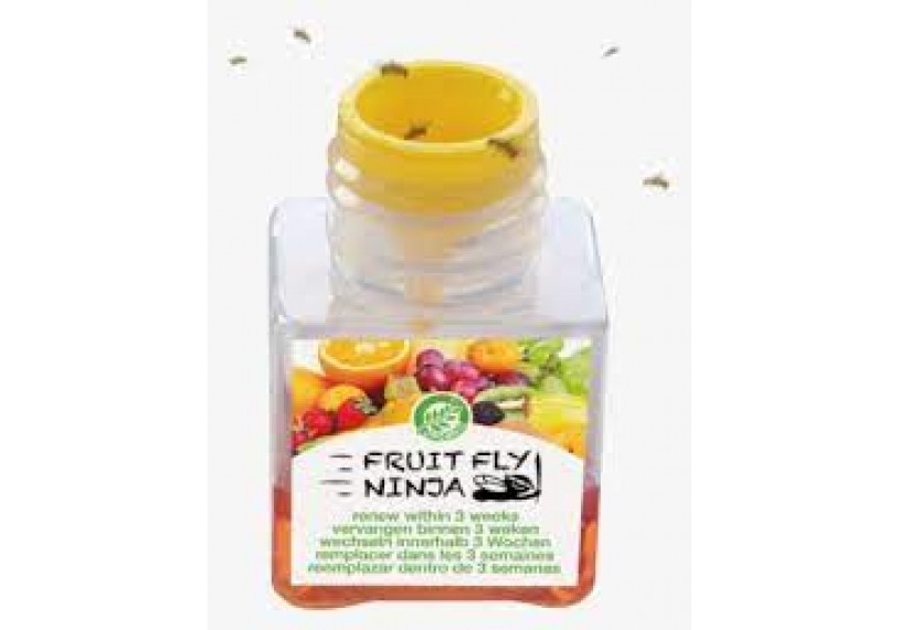 Fruit Fly Ninja Pack of 12