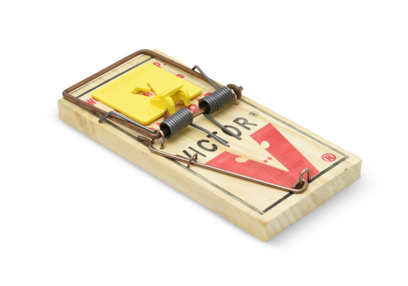 Buy Victor Easy Set Mouse Trap