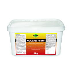 Vulcan P5 DP